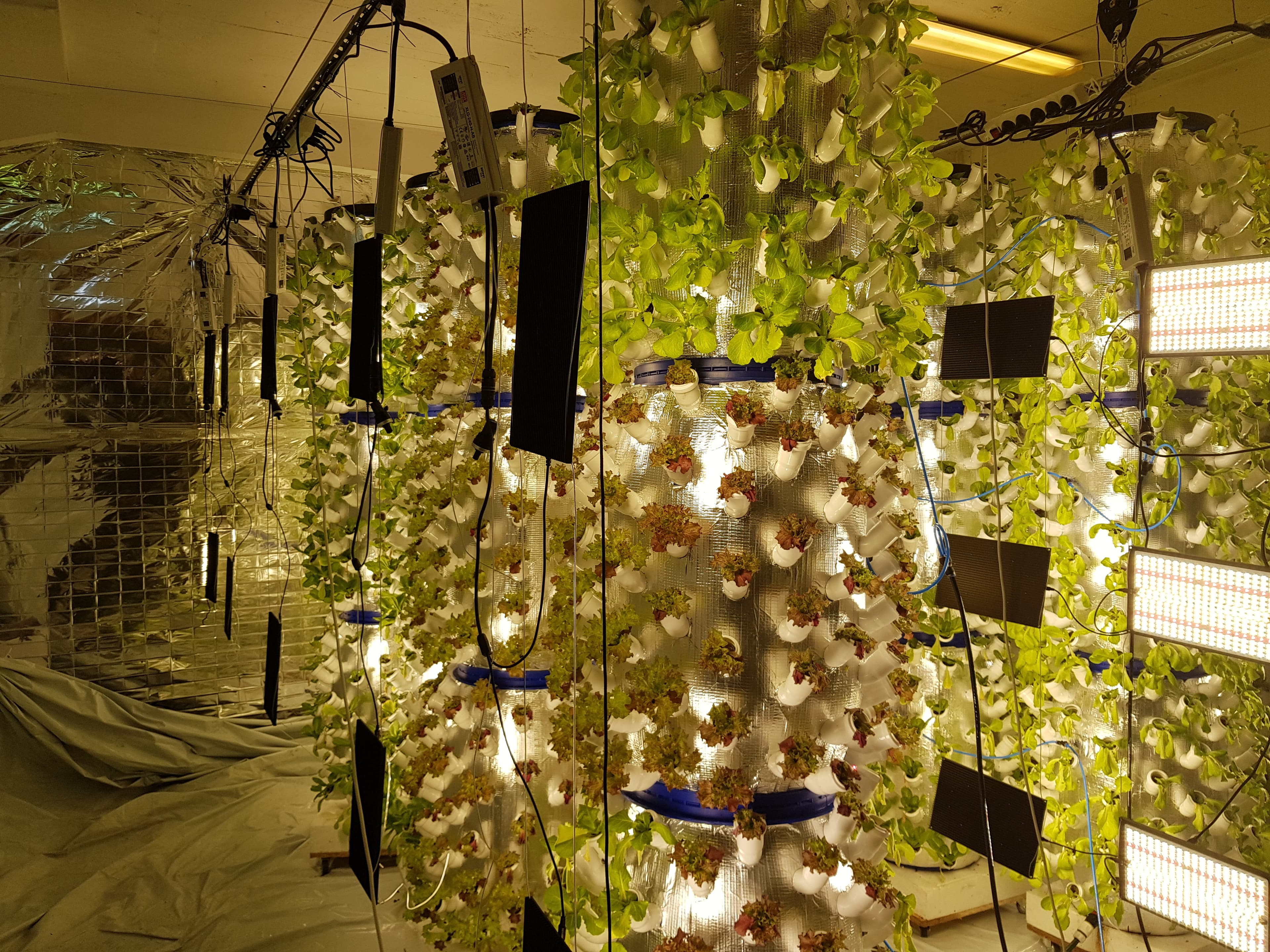 Indoor Farming Systems